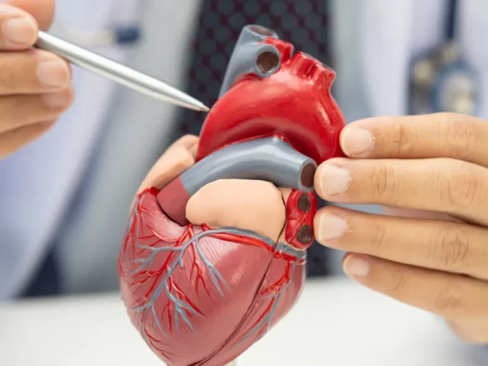 Fisioterapia En Cirugia Cardiaca Y Cardiologia